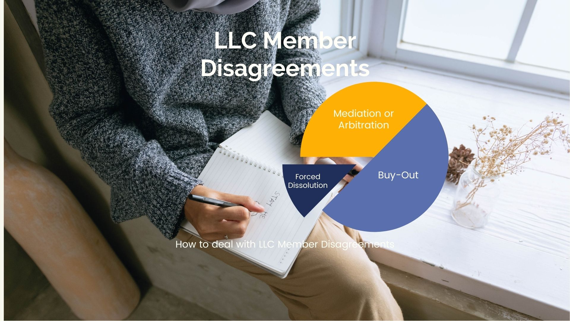 How to deal with LLC Member Disagreements